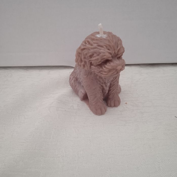 Świeczki-wesoły pudelek+serce z muszelką