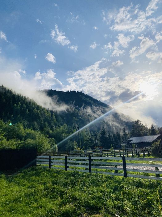 Житло у Карпатах, оренда, котедж