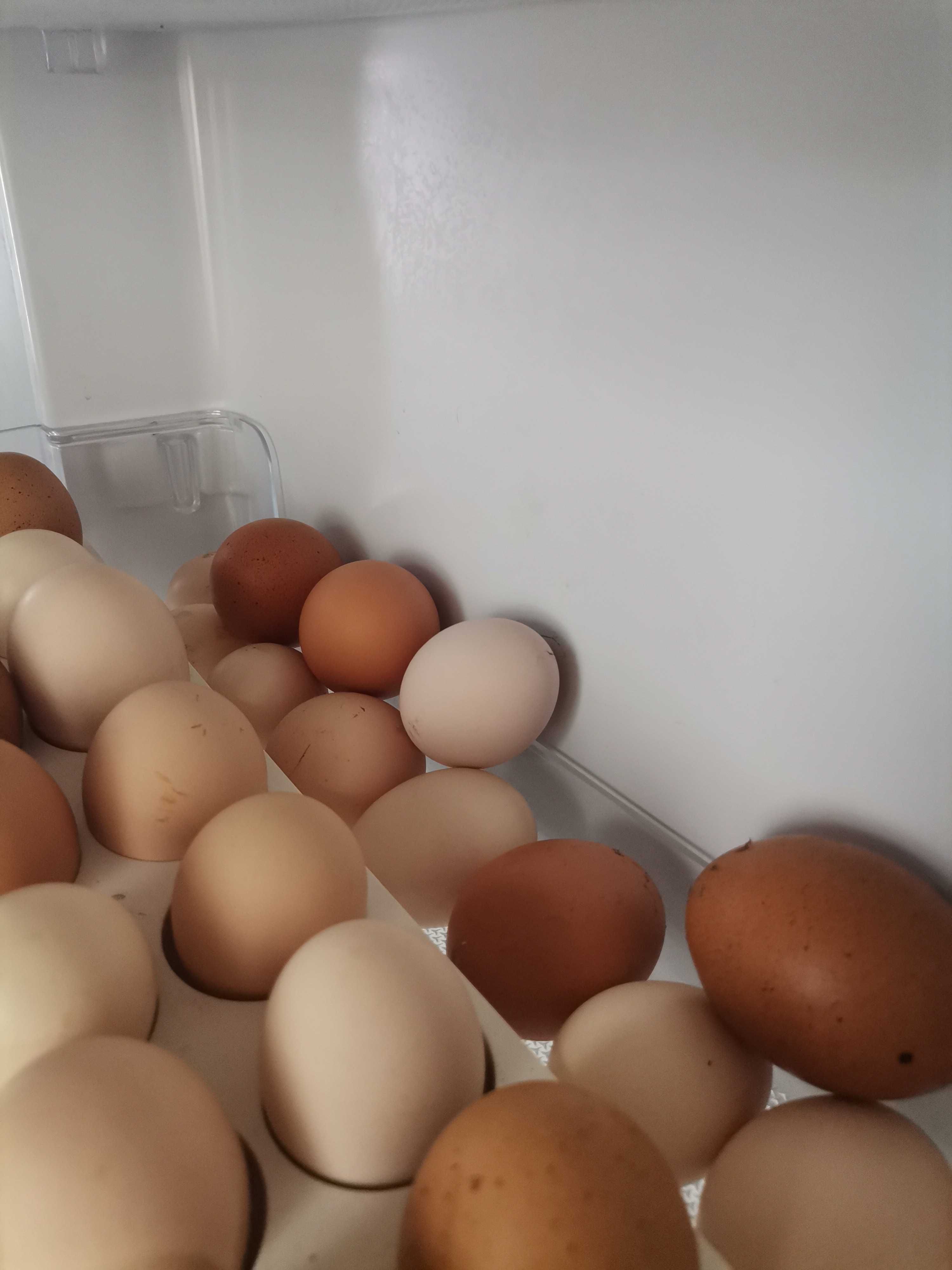 Ovos de galinhas caseiros