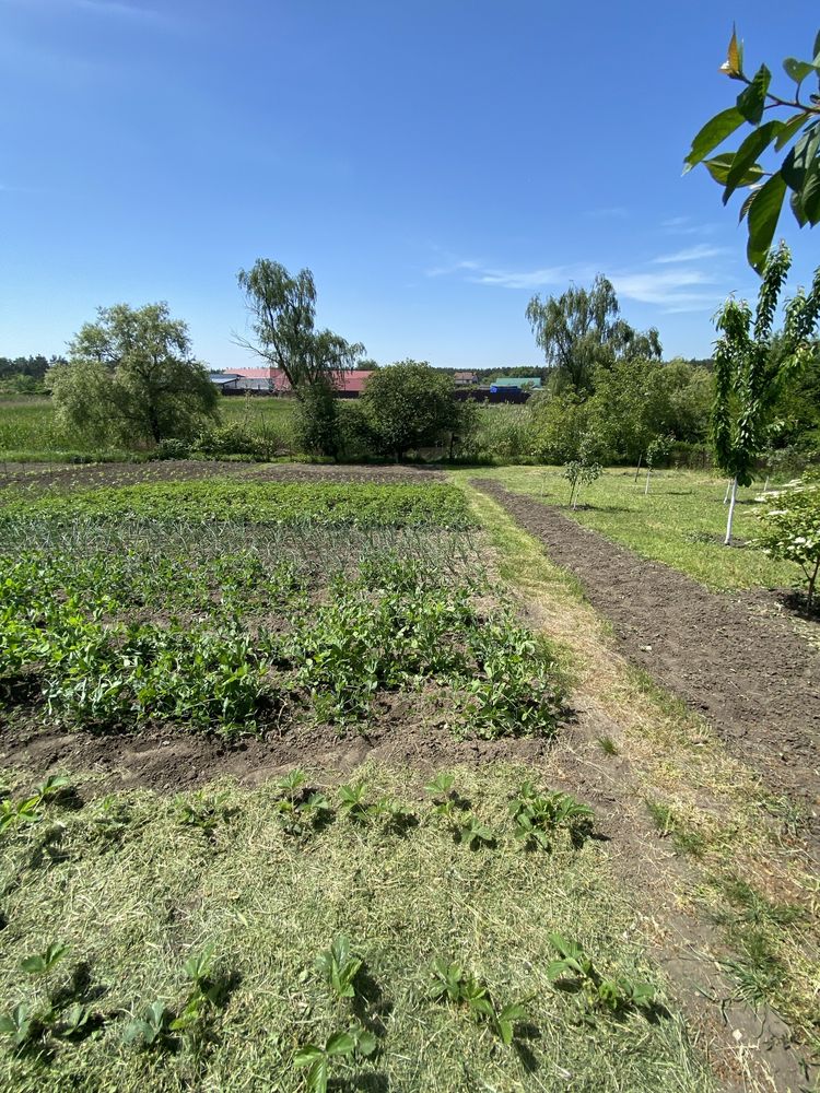 Продам дом в Песчанке