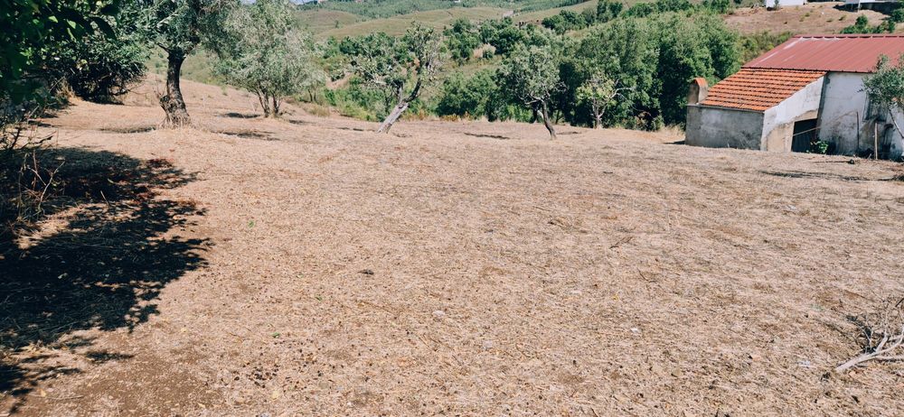 Moradia inserida em terreno de 3.700 m².