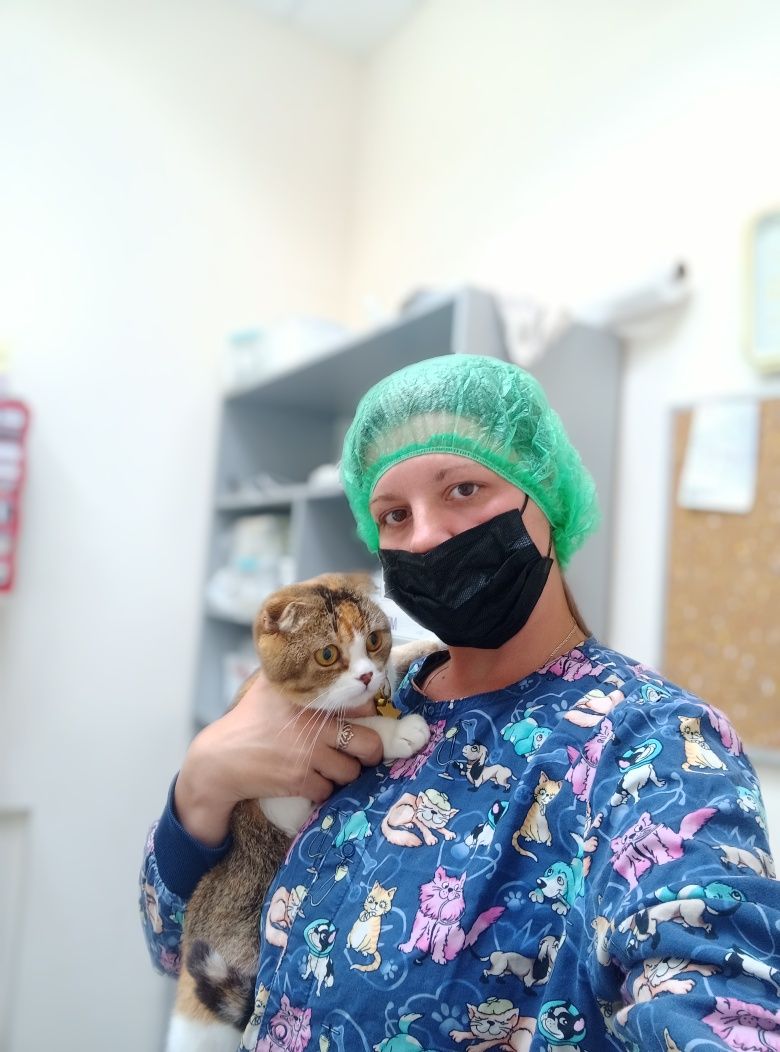Ветеринар на дом, консультация, лечение животных, вакцинации, чип,