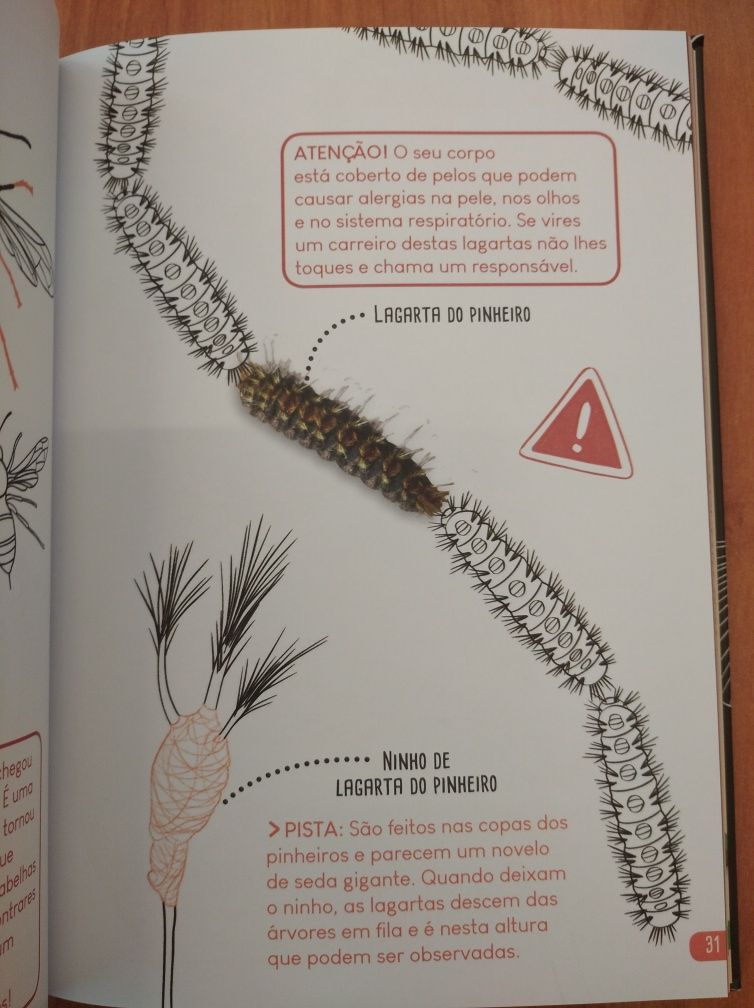 Livro "Caderno da Natureza do bicho do mato" (2019)