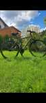 Rower Cossack Epica