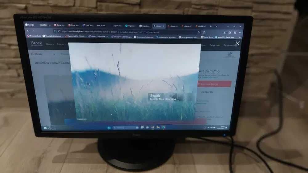 Monitor iiyama prolite B2409HDS, 24" hdmi z głośnik
