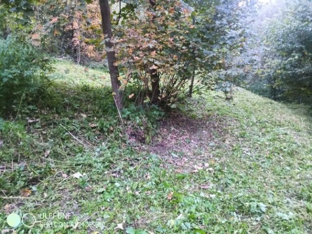 Sprzedam/Zamienię 7140m2 /Warunki zabudowy/Ładna działka