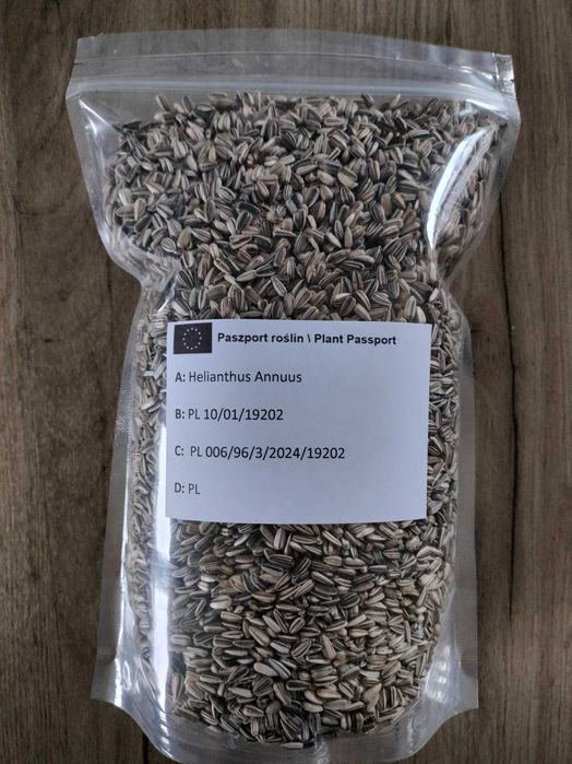 Słonecznik ozdobny na kwiat cięty nasiona FAKTURA PASZPORT - ARiMR
