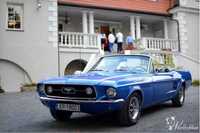 Ford Mustang 1967 wynajem cabrio do ślubu