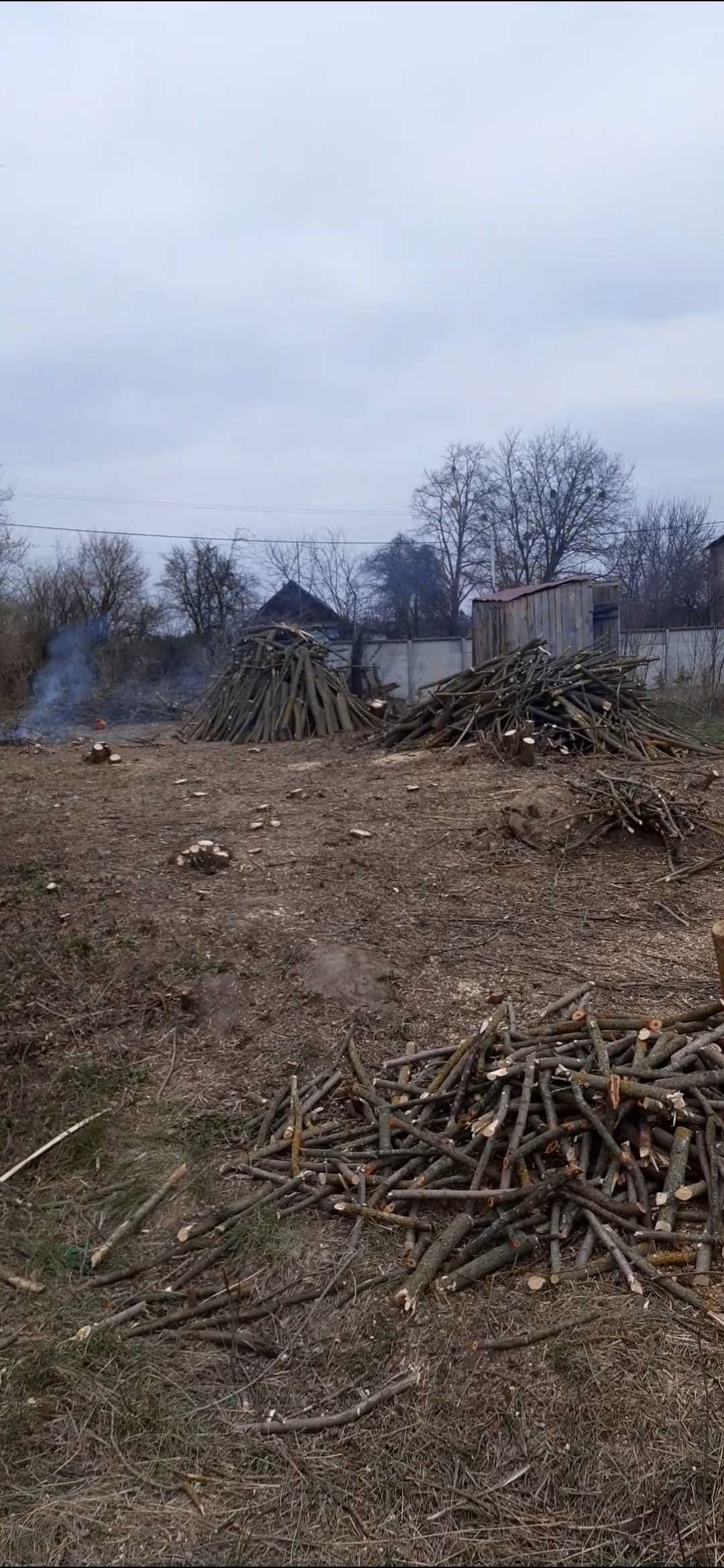 ЗРІЗКА, ПОРІЗКА ДЕРЕВ:(будь-якої складності, альпінізм)