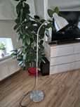 Lampa podłogowa ikea