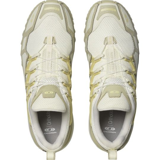 acs+seasonal Salomon