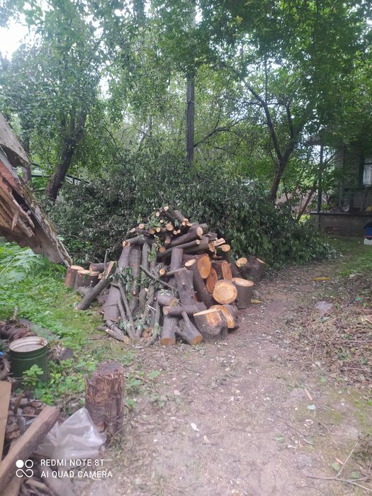 Спил дерев. Не дорого, якісно та швидко