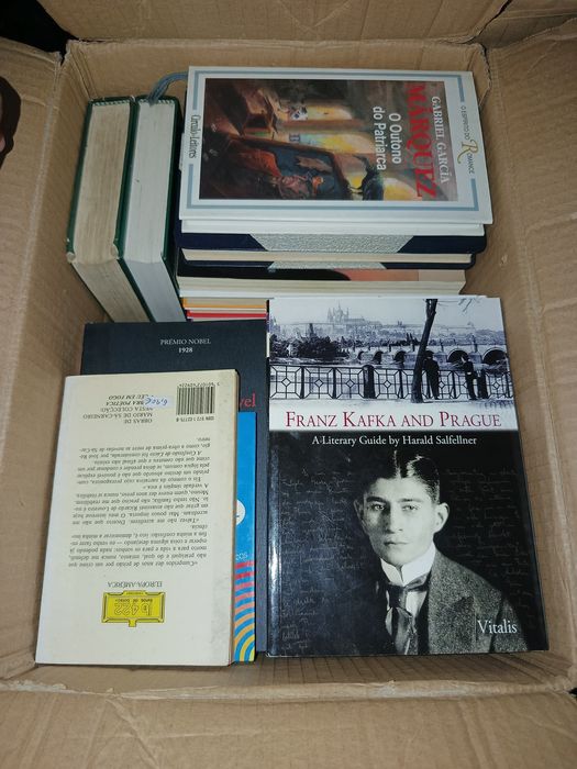 Lote de Livros para Troca ou Venda