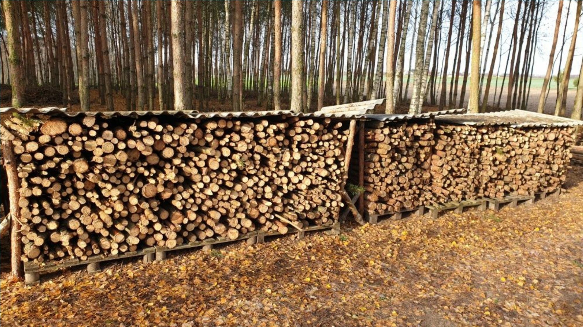 Suche drewno opałowe kominkowe brzoza sezonowana 2 lata, sosna