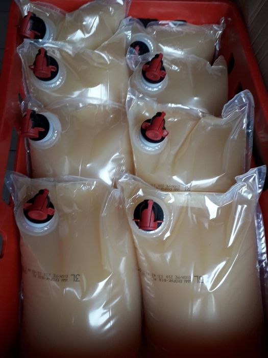 Sok z pigwowca i czarnego bzu