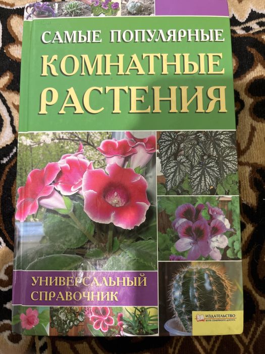 Самые популярные комнатные растения, кімнатні рослини