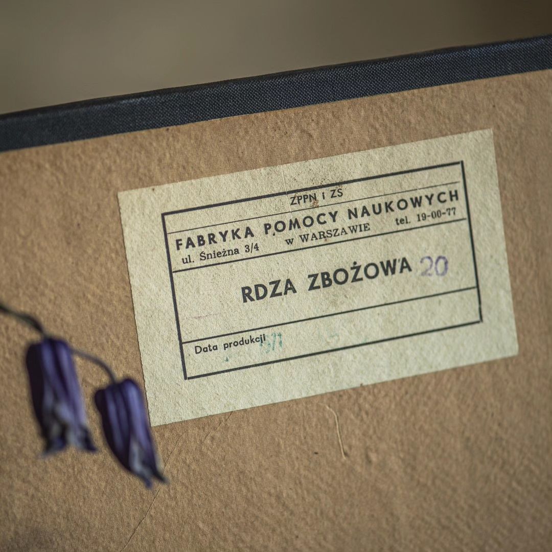 Gablotka botaniczna z lat 70tych
