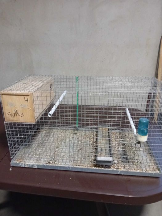 Varias gaiolas para ceder ou troca por aves