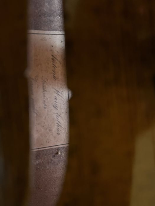 Viola Antonio Wang modelo Verona