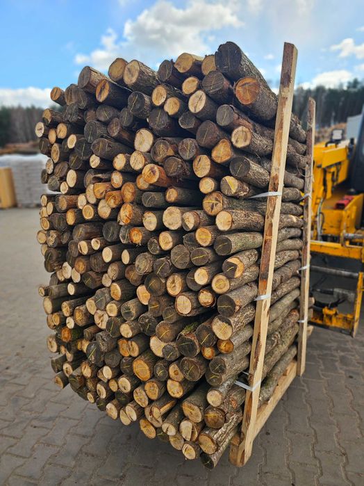 Paliki melioracyjne, pastuch dębowe dł 1,0-3,0m DĄB DAB DrewKom