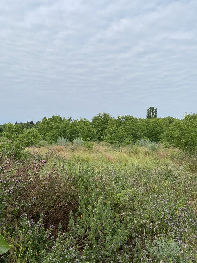 Будинок в селі Благодатне