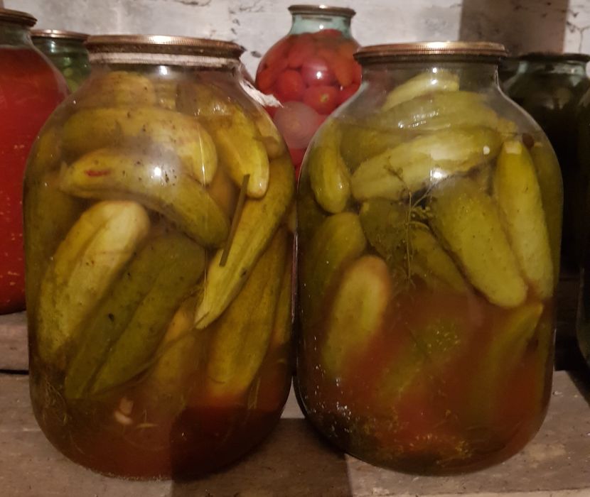 Эко продукт  лето 2025