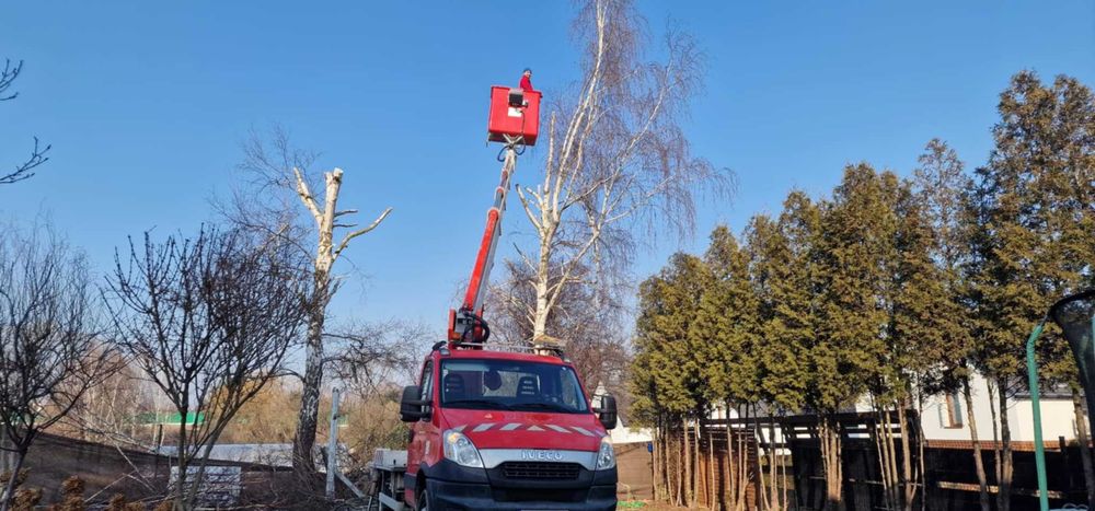 Usługi podnośnikiem koszowym - zwyżka 20m