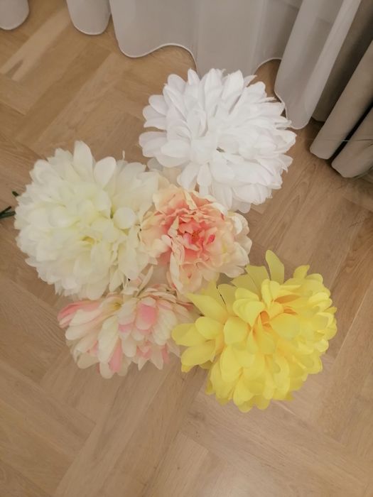 Chryzantemy duże, nowe 5 sztuk