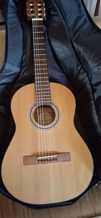 Guitarra 1/2 com saco Ritter