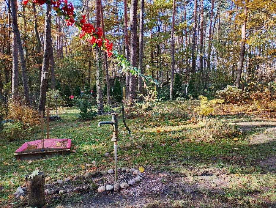 Piękną działkę nad Narwią sprzedam