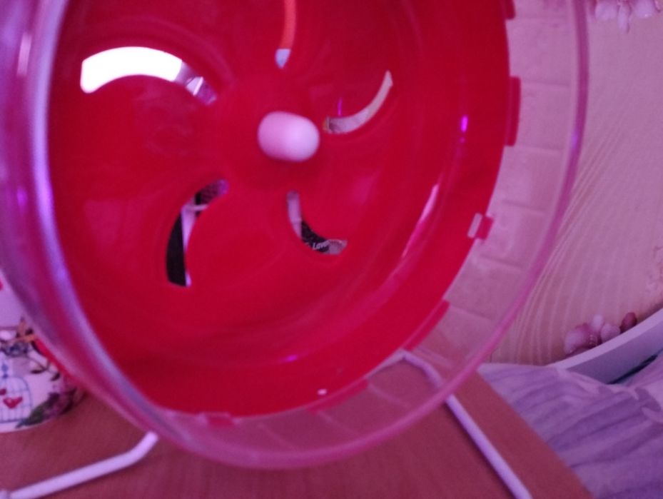 колесо для грызунов с подставкой