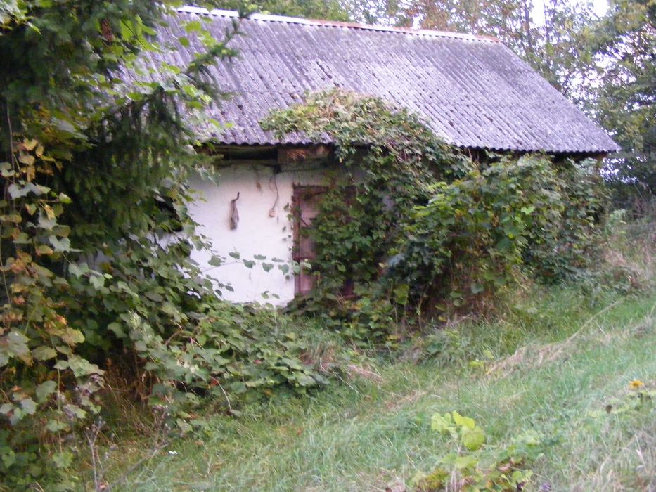Działka z zabudowaniami w Przyłęku 3610 m2 – blisko Kazimierza Dolnego
