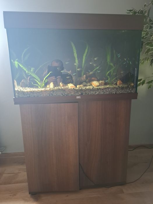 Akwarium juwela 180l