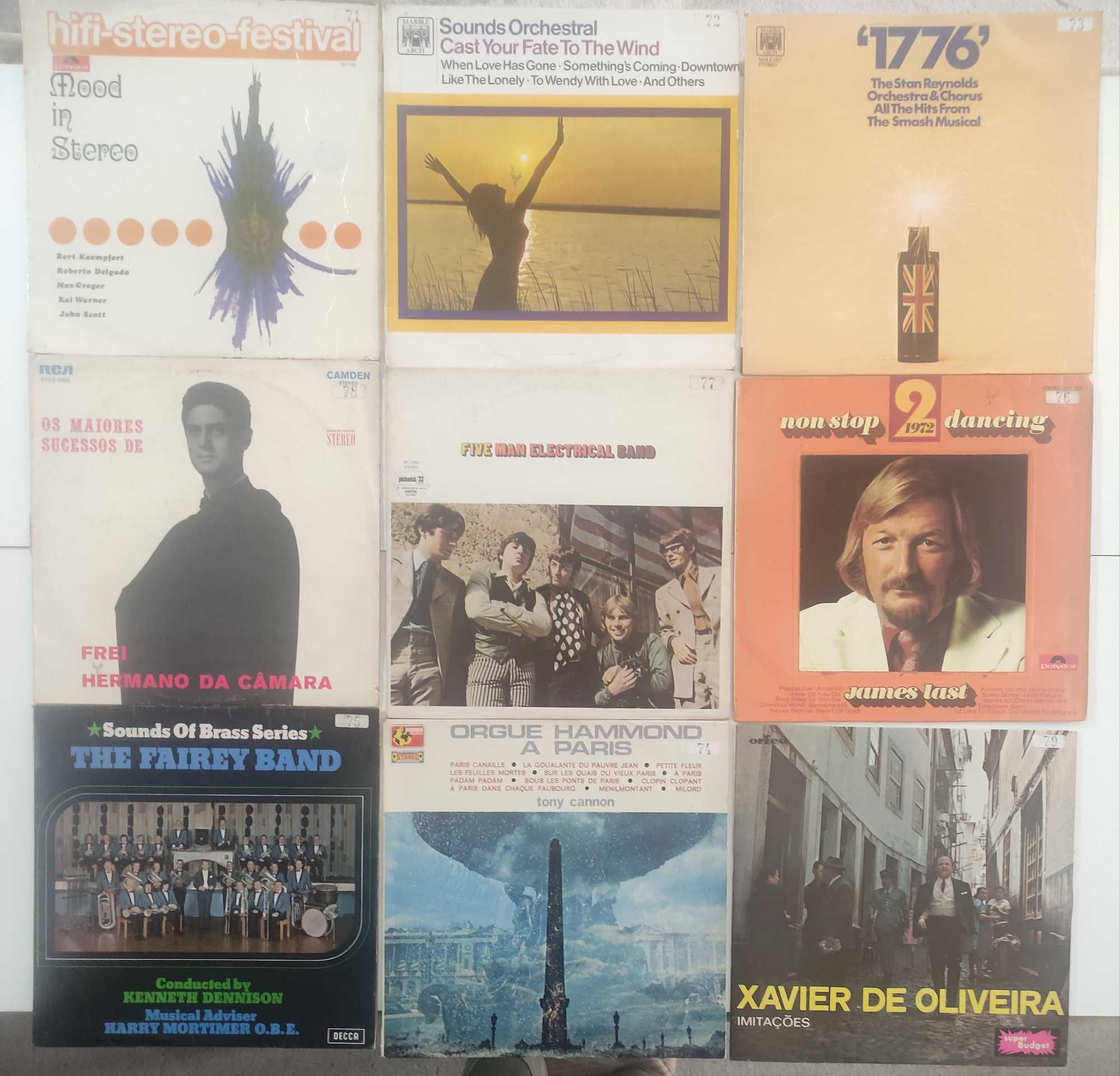 Vários discos de música Vinil LP (grandes)