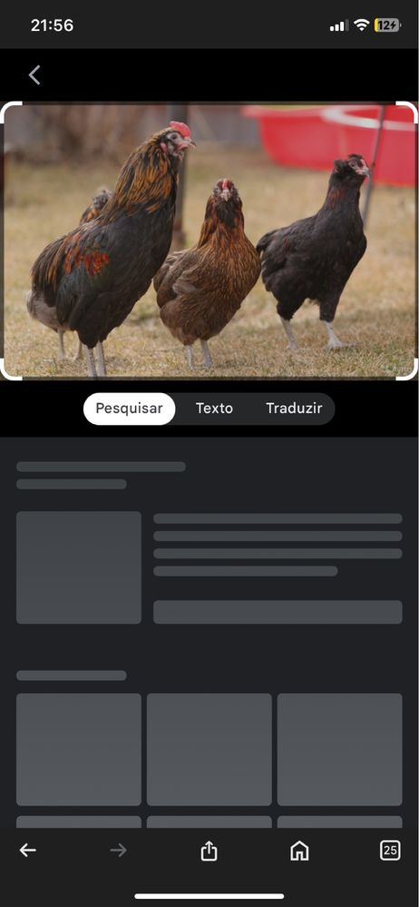 Ovos  de brahama