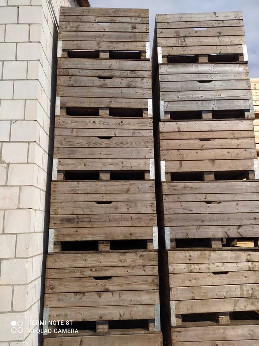 Skrzynie drewniane firmy Moskal na jabłka 80cm wysokości