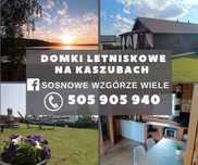 Noclegi na Kaszubach, Wiele, domki do wynajęcia