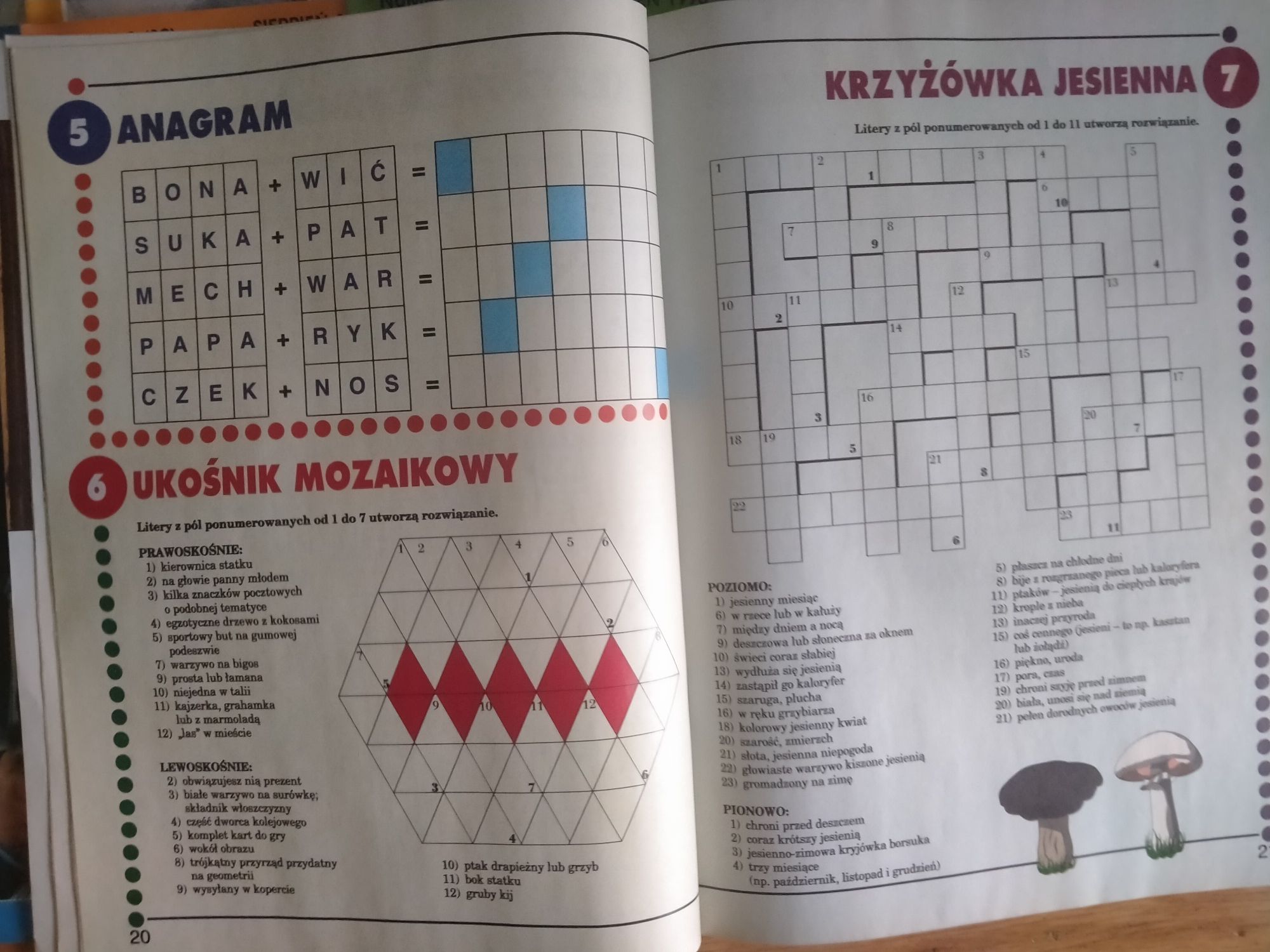 Kwak magazyn dla młodzieży 23 numery