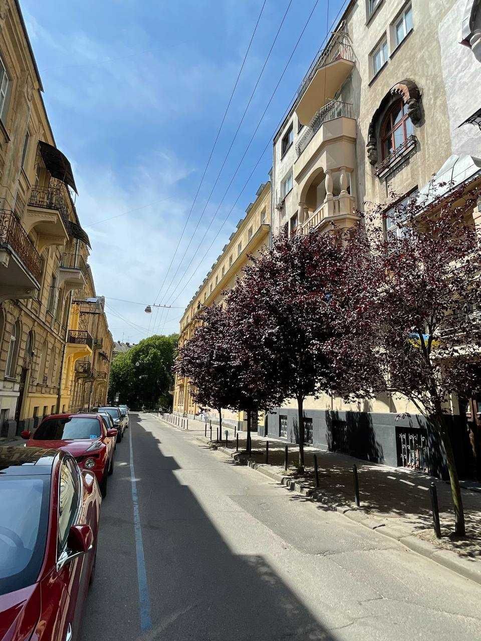 Продаж приміщення вул. Кониського , Центр міста