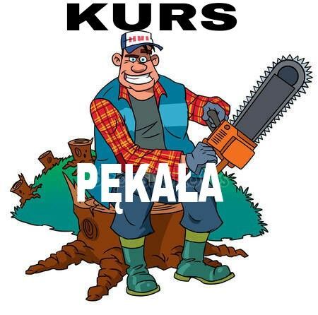 Kurs pilarza - Operator pilarek mechanicznych SZKOLENIE Świdnica