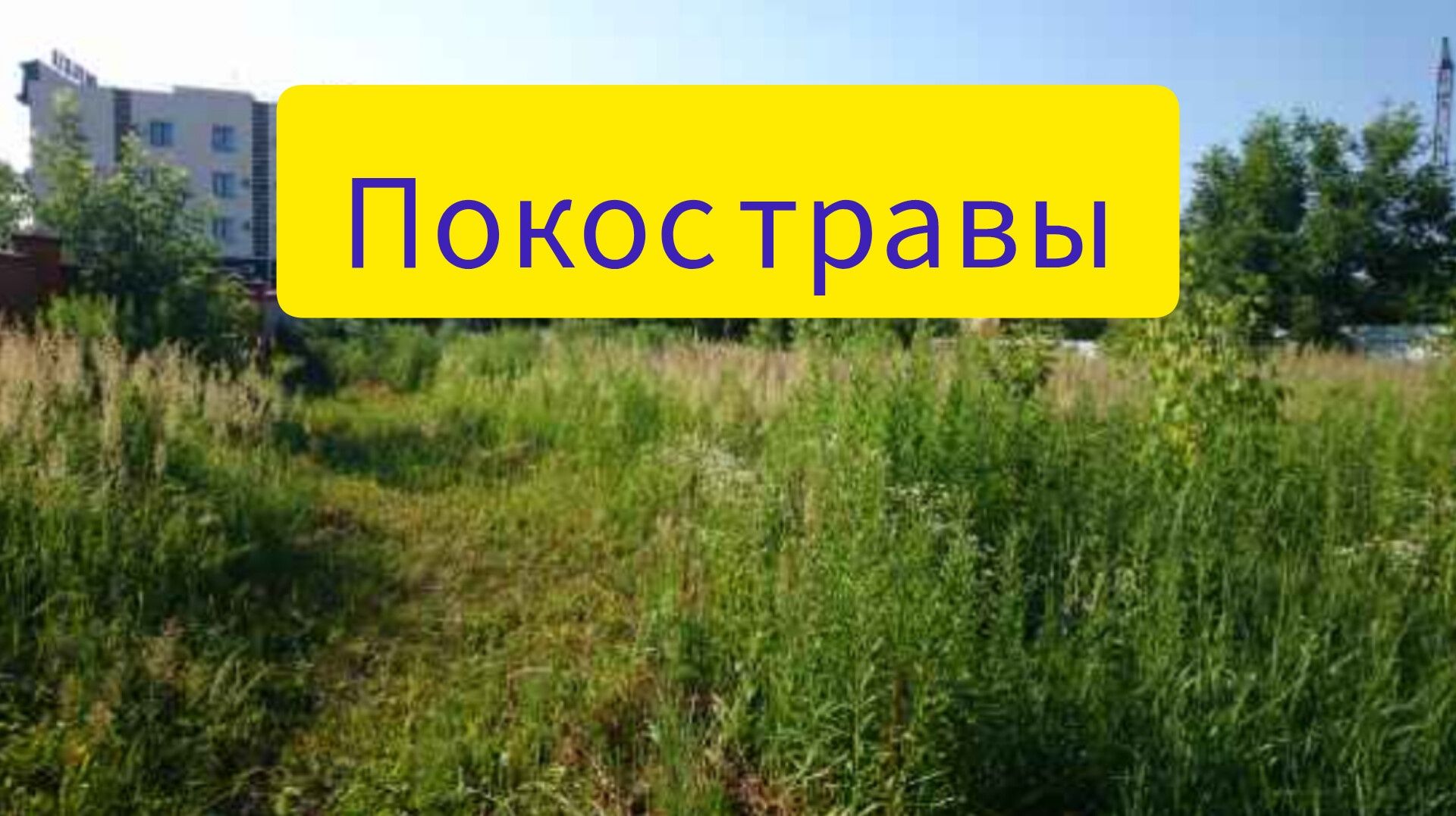 Расчистим участок/Уборка территории/Вывоз