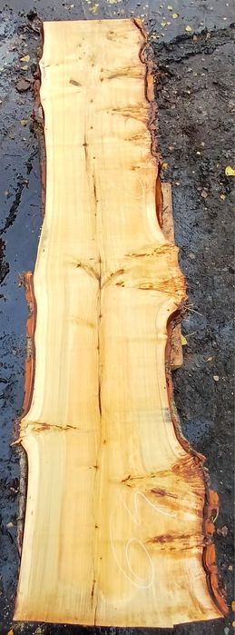 Topola czeczot pakiet sześć blatów ławki stoły