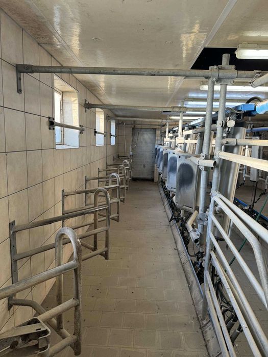Hala udojowa DeLaval MP400 2x6, 30° – kompletna, gotowa do pracy