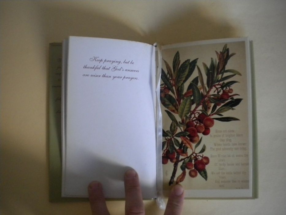 Faith enduring: original illuminated - P.F. Sunman