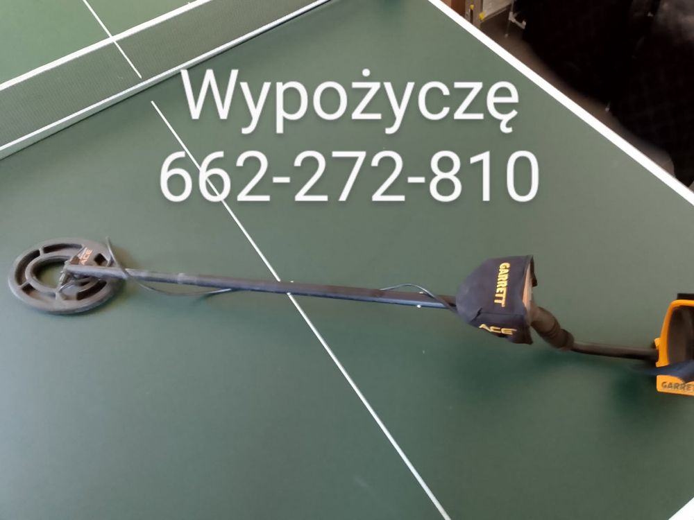 Wypożyczę wykrywacz złota, metali
