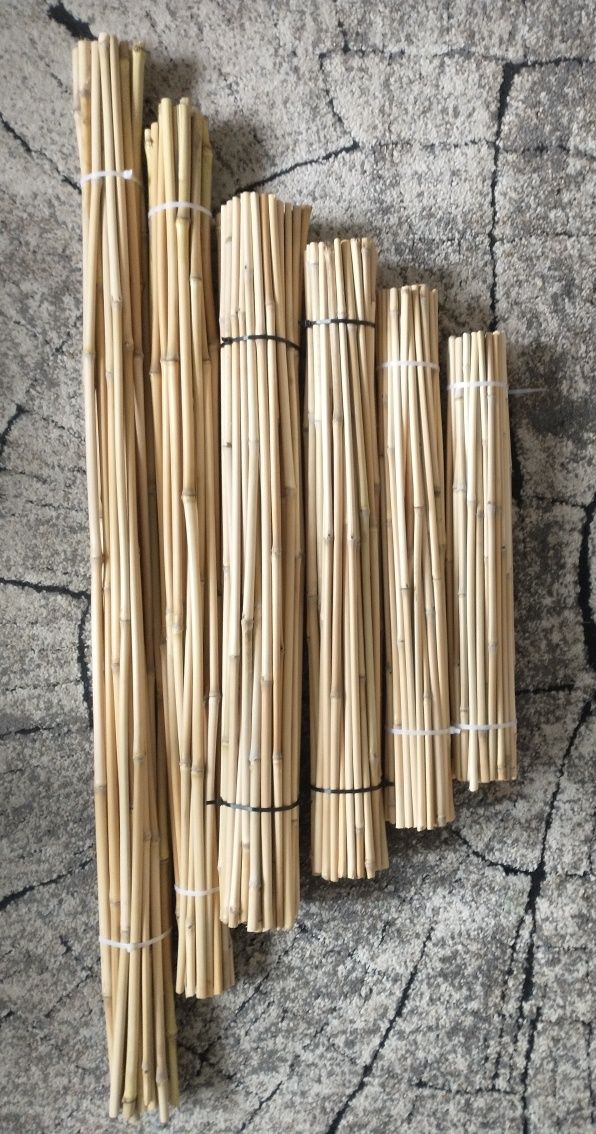 Tyczki kijki bambusowe podpórki do roślin