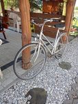 Rower Capriolo vintage 28"