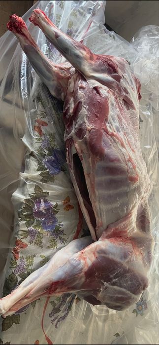 Баранина, мʼясо барана