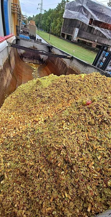 Wysłodki wytłok z Jabłka Marchwi  pasza  KRÓW BYDŁA