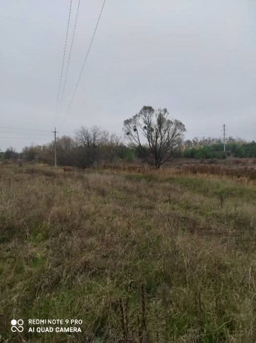 Продаж земельної ділянки біля лісу та річки 20км від міста